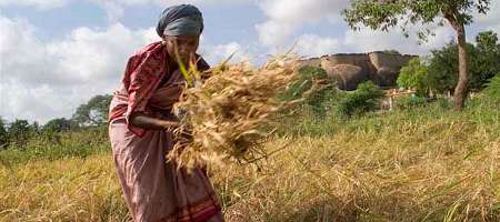 Harvest Festival Worldwide