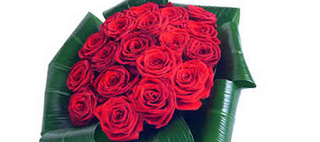 Meaning of Red Roses