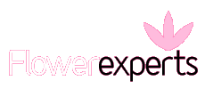 flower experts logo: click for home page